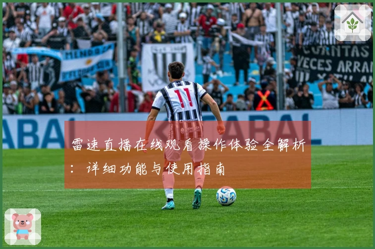 雷速直播在线观看操作体验全解析：详细功能与使用指南